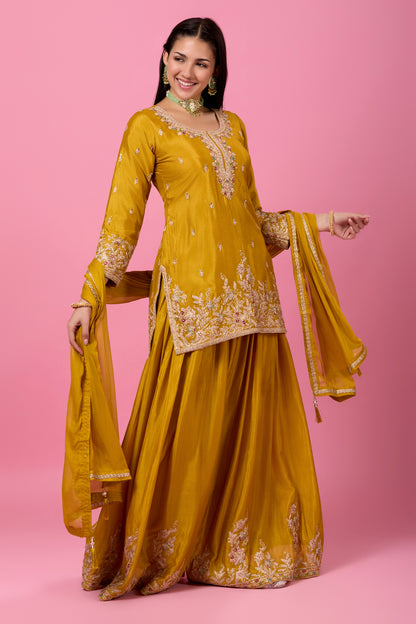 Gauri Palazzo Suit