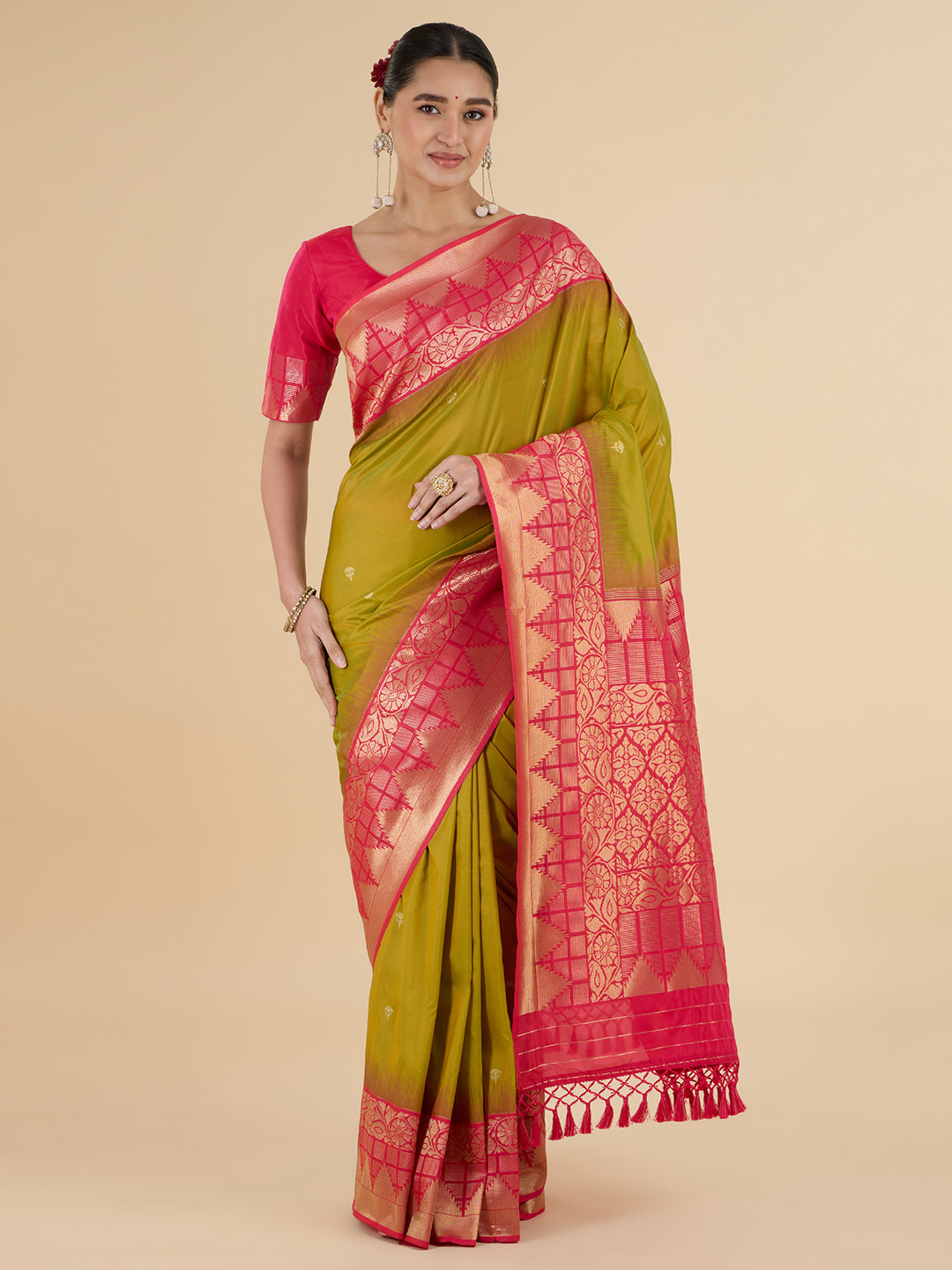 Parisha Choli Saree