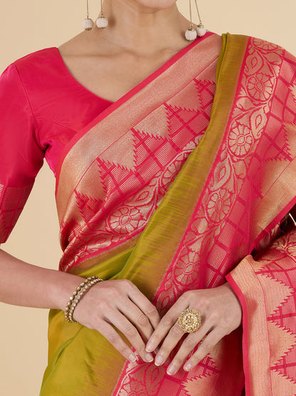 Parisha Choli Saree