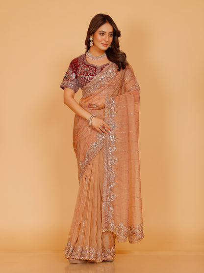 Tanvi Choli Saree