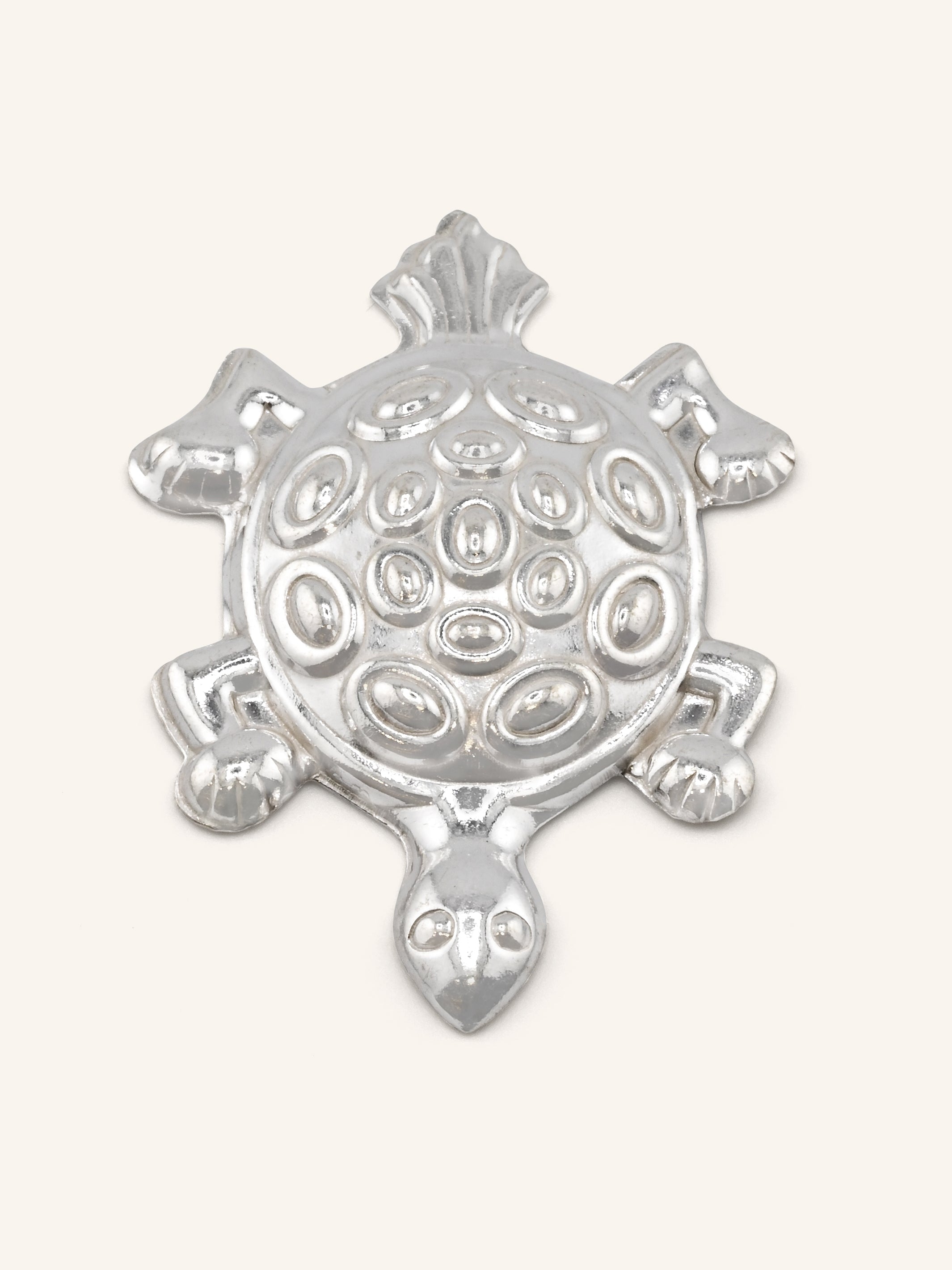 Silver Turtle