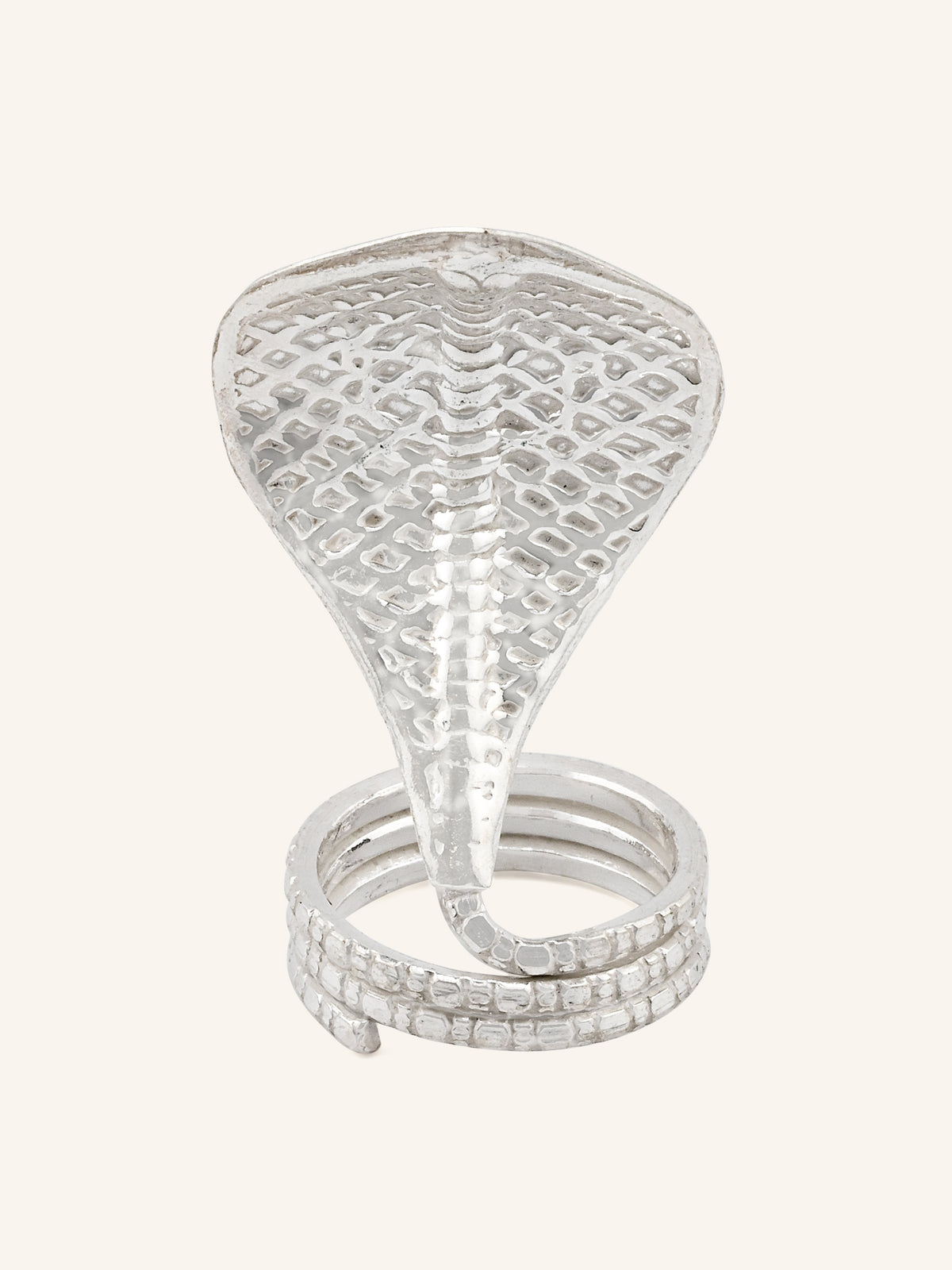 Silver Snake