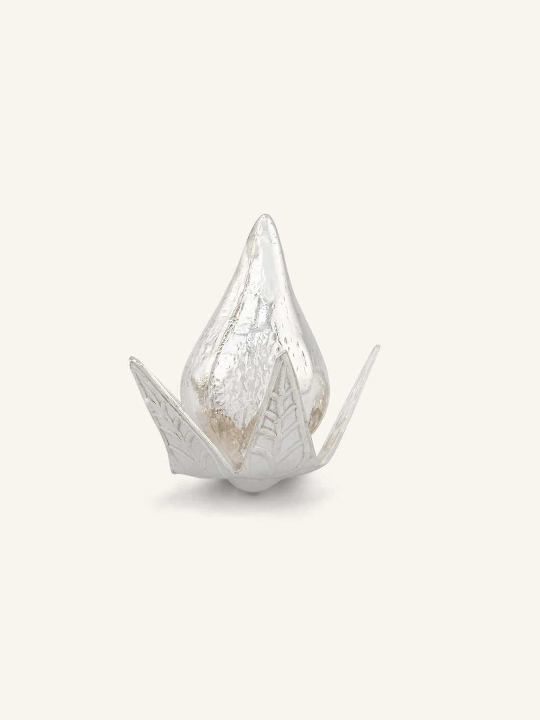 Silver Nariyal