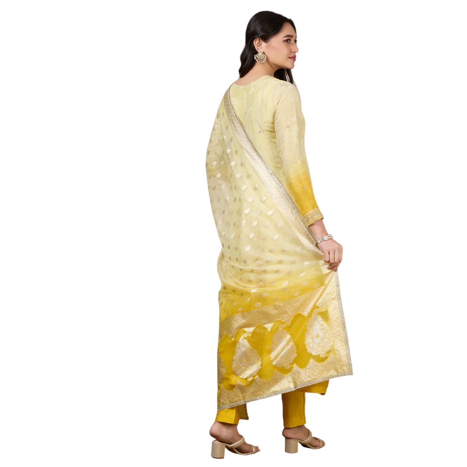 Tanvi Flair Suit
