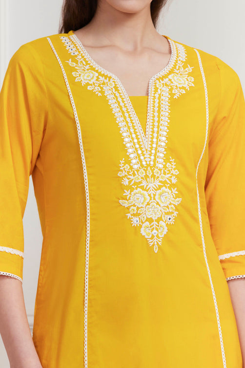 Biba Straight Kurti